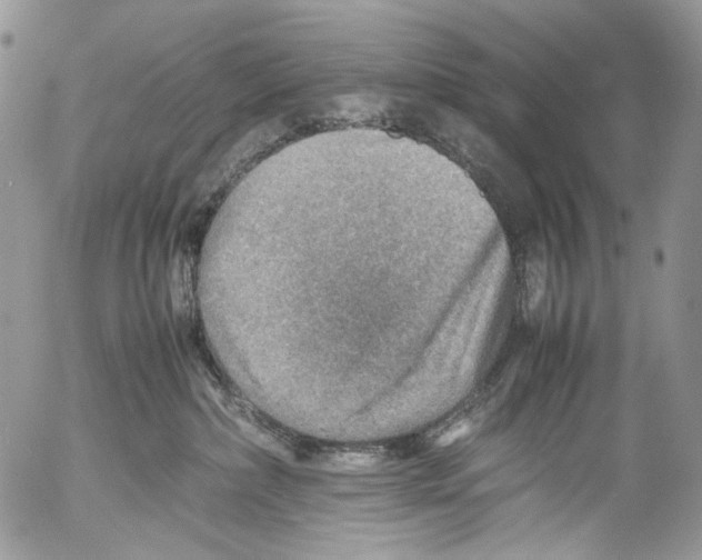 X0000053050236200508081136