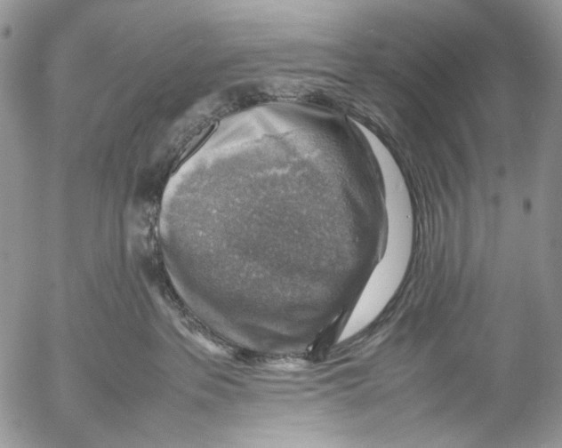 X0000053050237200508081136