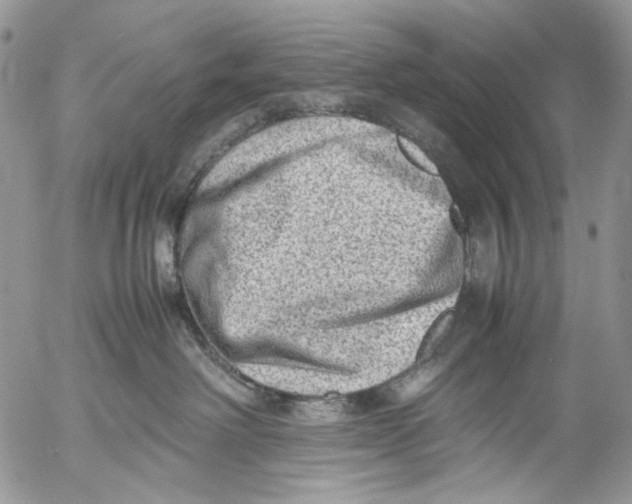 X0000053050238200508081136