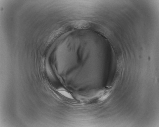 X0000053050239200508081136