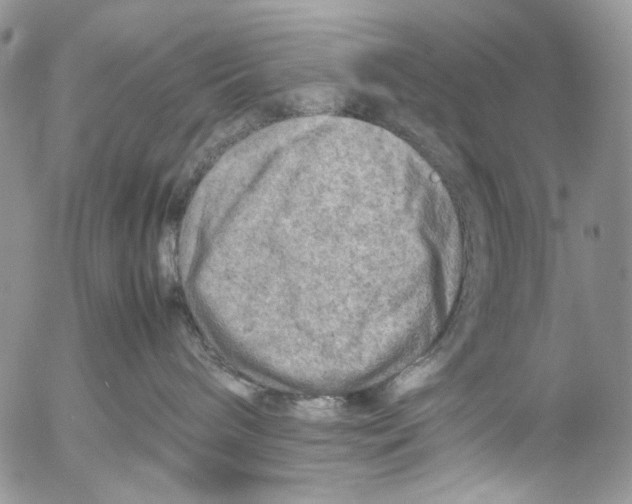 X0000053050240200508081136