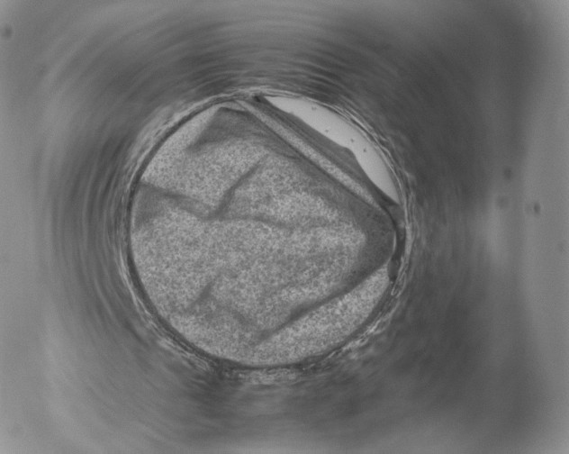 X0000053050241200508081135