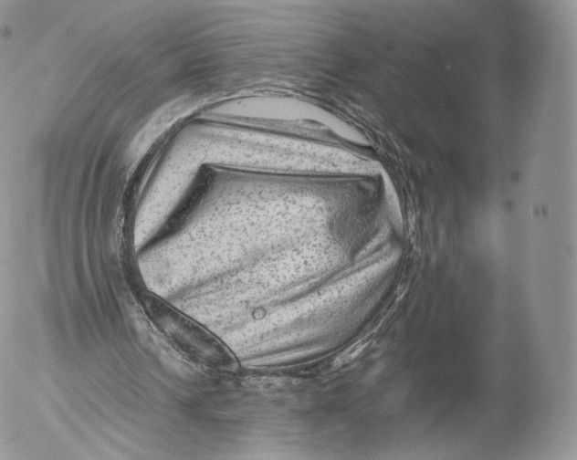 X0000053050242200508081135