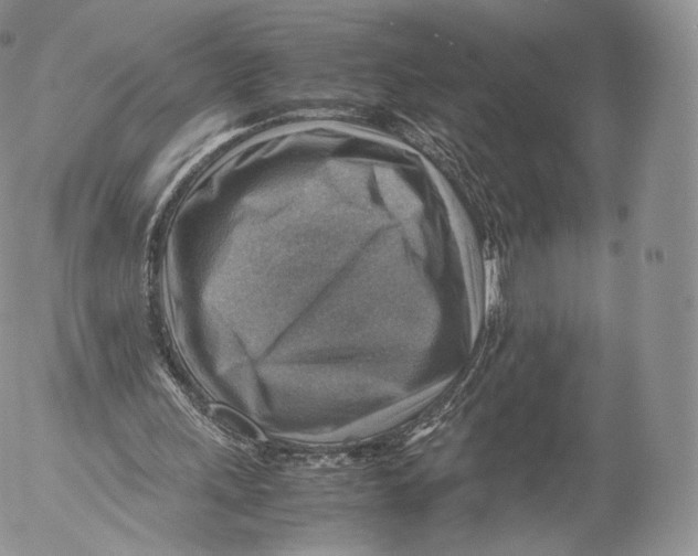 X0000053050243200508081136