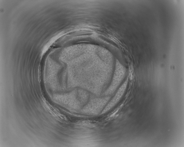 X0000053050244200508081136