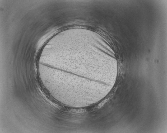 X0000053050245200508081136