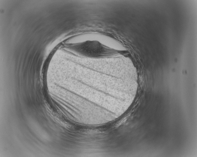 X0000053050246200508081136