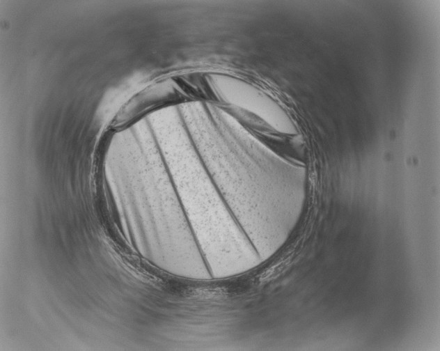 X0000053050248200508081136