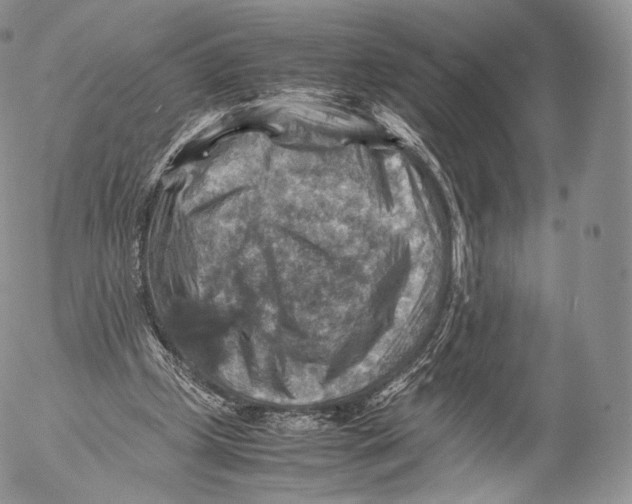 X0000053050249200508081136