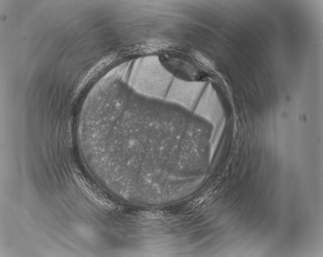 X0000053050250200508081136