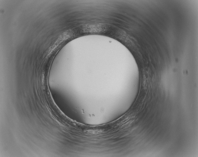 X0000053050251200508081136