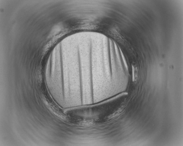 X0000053050252200508081136