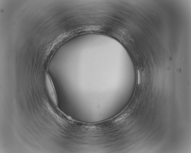 X0000053050253200508081136