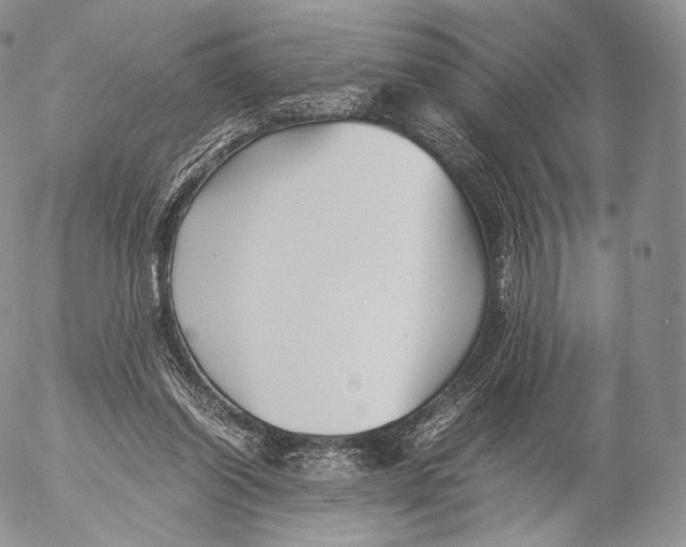 X0000053050254200508081136