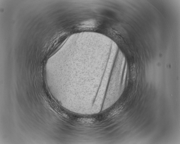 X0000053050255200508081136