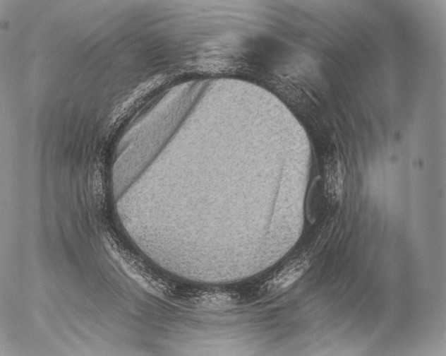 X0000053050256200508081136