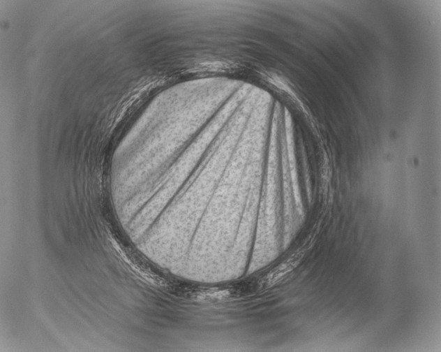 X0000053050257200508081136