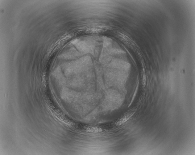 X0000053050258200508081136