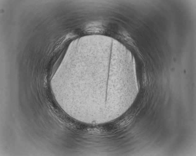 X0000053050259200508081136