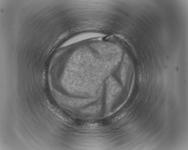 X0000053050260200508081136