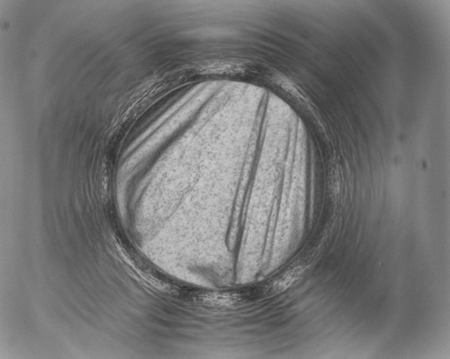 X0000053050261200508081136