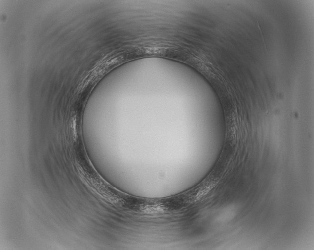 X0000053050262200508081136