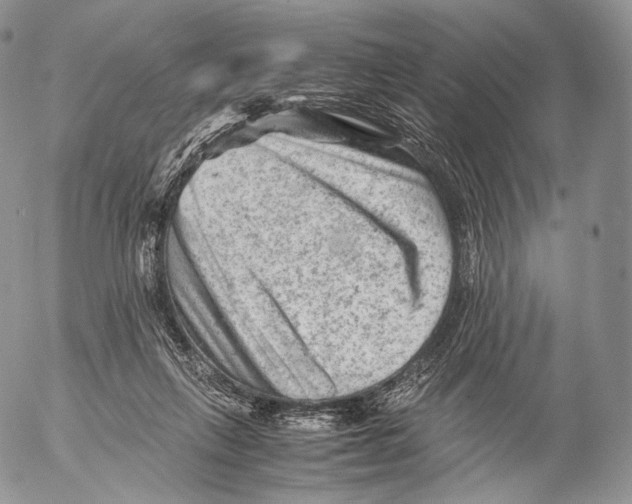 X0000053050263200508081136