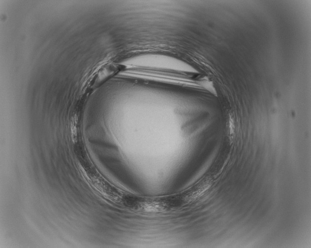 X0000053050264200508081136