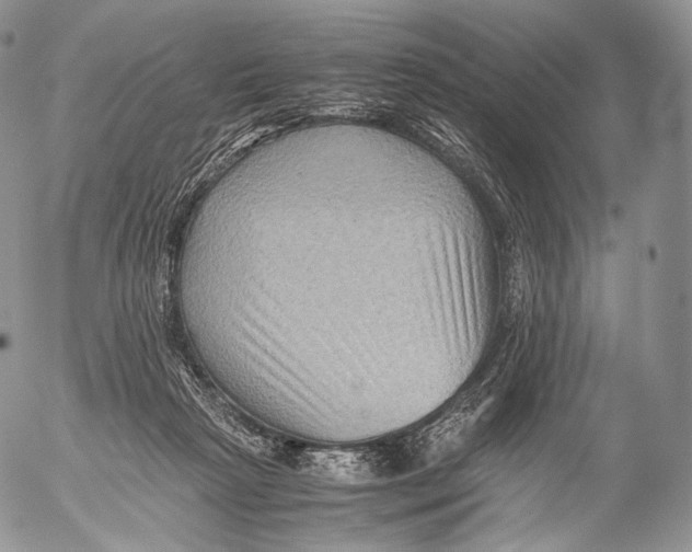 X0000053050265200508081136