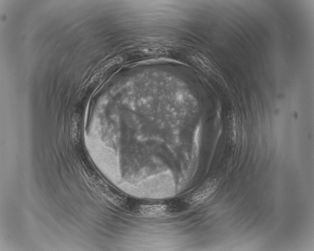 X0000053050266200508081136