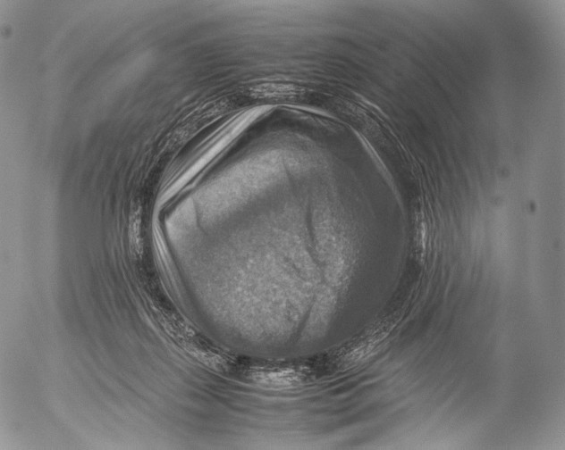 X0000053050267200508081136