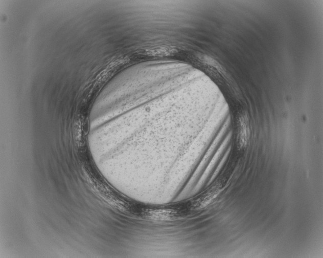 X0000053050268200508081136