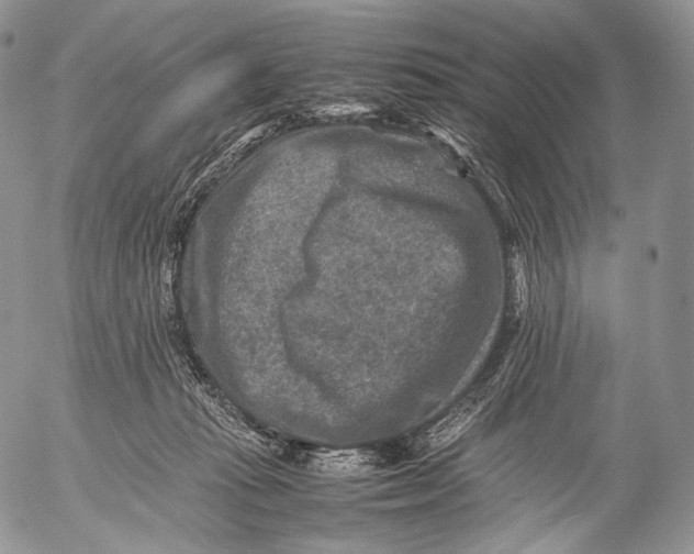 X0000053050269200508081136