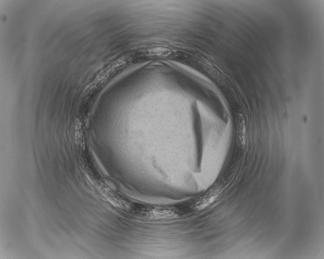 X0000053050270200508081136