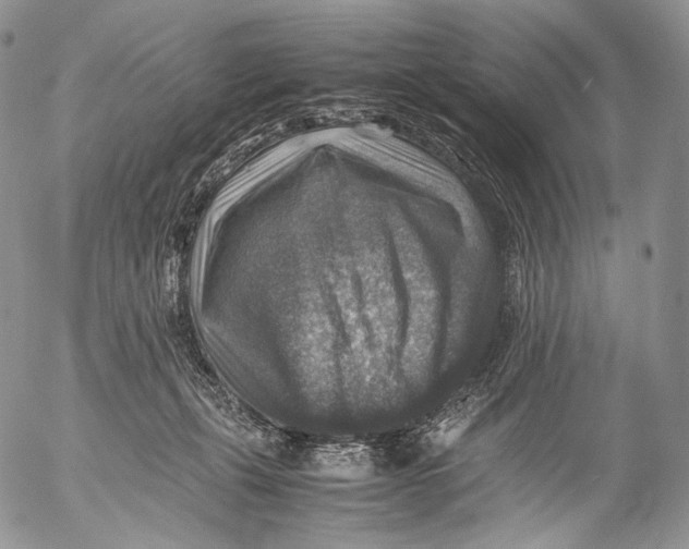 X0000053050271200508081136