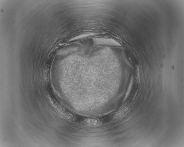 X0000053050272200508081136