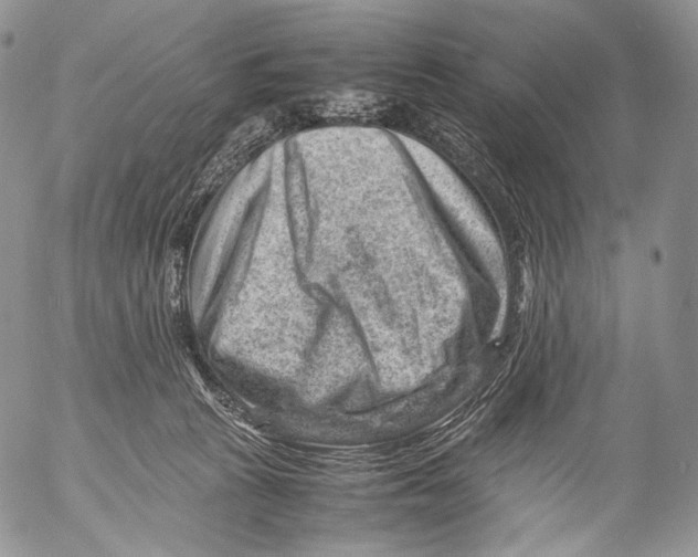 X0000053050273200508081136