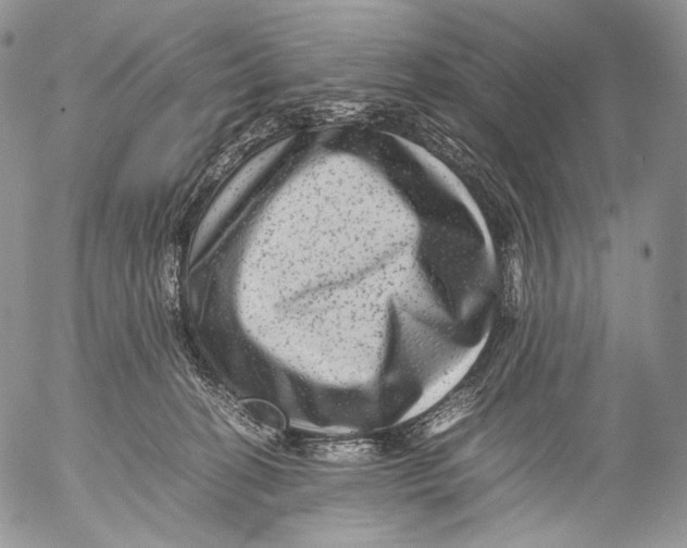 X0000053050274200508081136