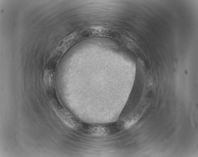 X0000053050276200508081136