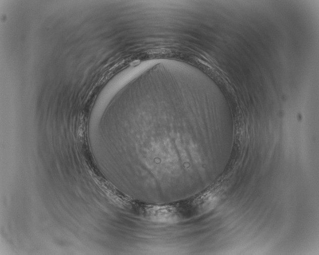 X0000053050277200508081136