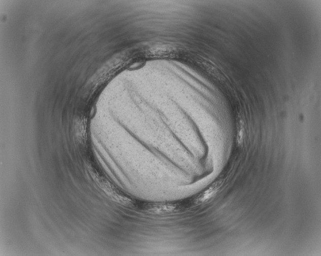 X0000053050278200508081136