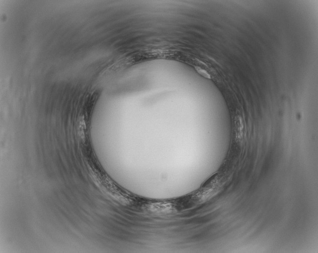 X0000053050279200508081136