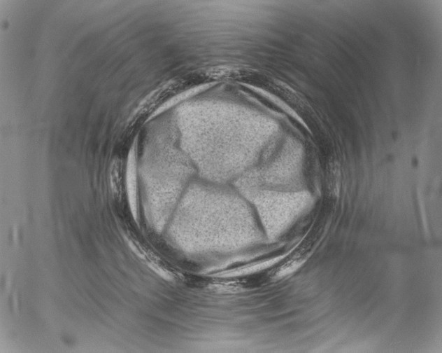 X0000053050280200508081136