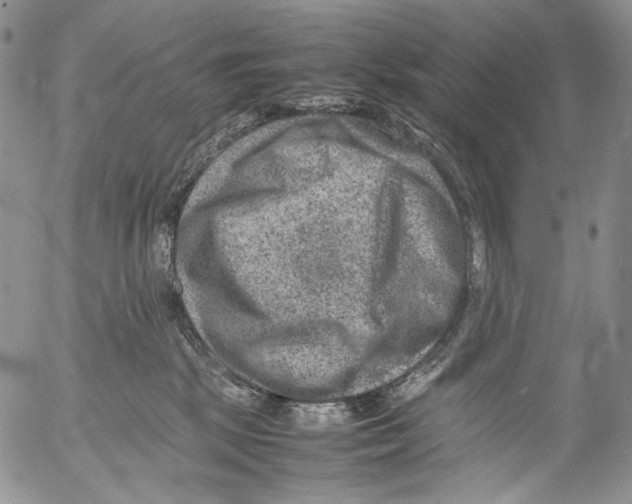 X0000053050281200508081136