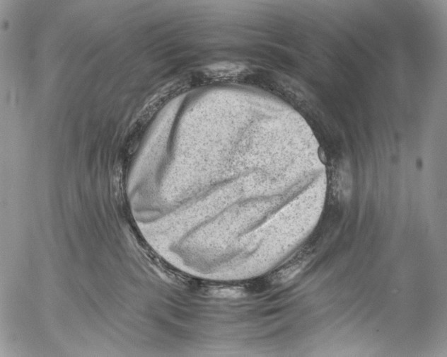 X0000053050283200508081136