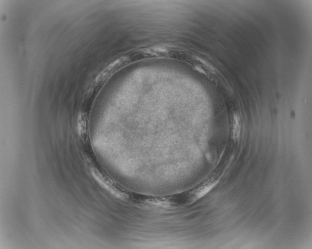 X0000053050284200508081136