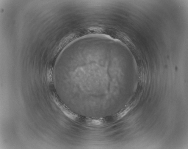 X0000053050285200508081136