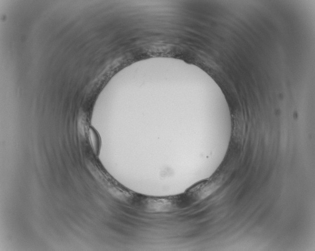 X0000053050287200508081136