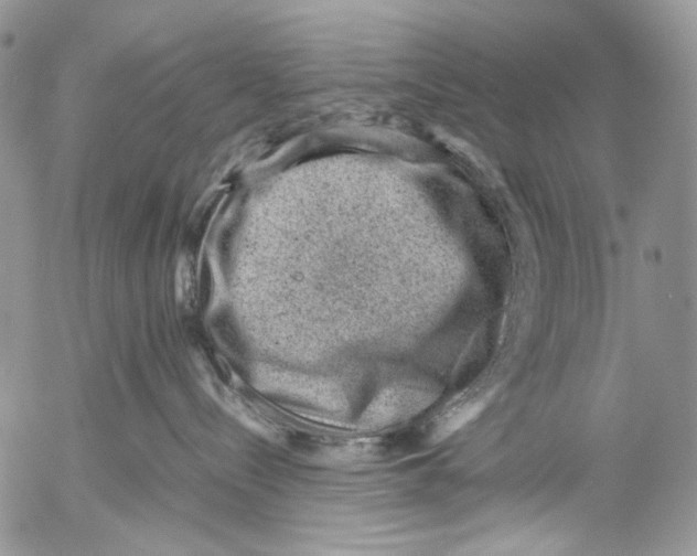 X0000053050288200508081136