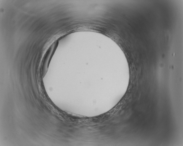 X0000053050289200508081135